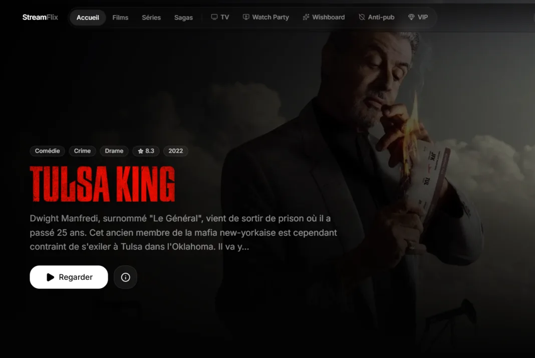 Streamflix 2026 : illustration d'une plateforme de streaming avec un catalogue de films et séries accessibles en ligne.